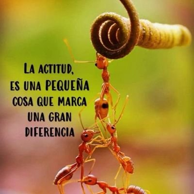 PuebloOpinando's profile picture. Sin censura y sin temor, informando y conscientizando