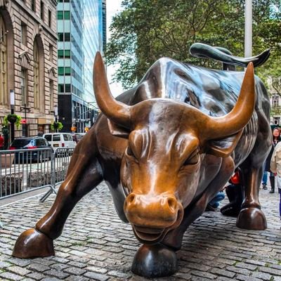 Crypto247Bull's profile picture. $Tao
$Kaspa
$Opul
$Borg
$Landwolf615