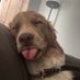 sam kaddidlhopper (@hoosierguyss) Twitter profile photo