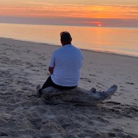 Jérémy Reis (@tyrex51) 's Twitter Profile