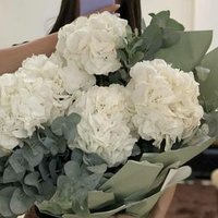 Sethish (@sethishpr2) 's Twitter Profile
