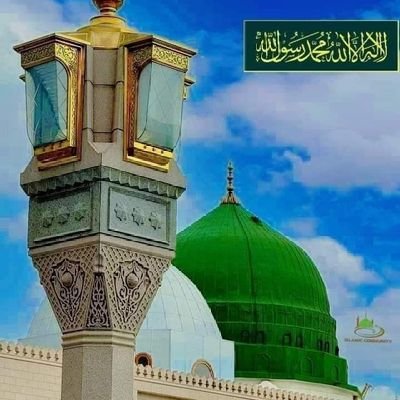 AMIR1348300's profile picture. For everything