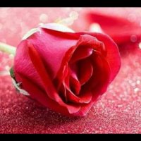 dalgasiz05deniz (@dalgasiz05deniz) Twitter profile photo