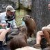 Wildlife & Nature with Miller (@mr_18k68) Twitter profile photo Wildlife & Nature with Miller (@mr_18k68) Twitter profile photo