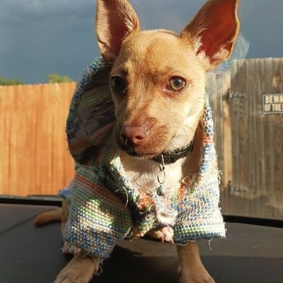 I am MARRIED to my highschool sweetheart 😊❤️ and not a financial advisor I'm just a doge on the moon.🇵🇷🇲🇽
