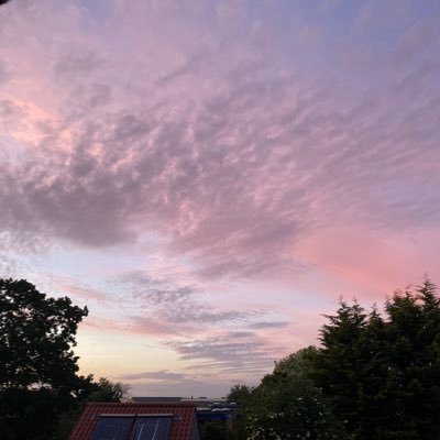 alfie_snowy's profile picture. 