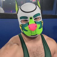 Pup Seres (@musclepupseres) 's Twitter Profile