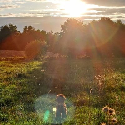 VDarboe38281's profile picture. Being honest may not get you a lot of friends, but it'll always get you the right ones😍