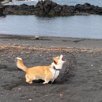 モニさん (@monicakwsm) 's Twitter Profile