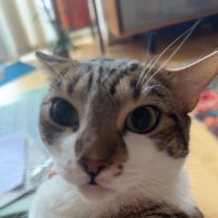 Leonard22002 (@leonard22002) 's Twitter Profile