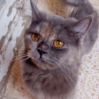 ندا (@nadahossss) 's Twitter Profile Photo ندا (@nadahossss) 's Twitter Profile Photo