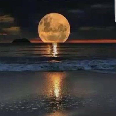 alsyahd47943's profile picture. 