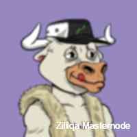 masternoddezil's profile picture. Blue chip nft  fine art collectooor