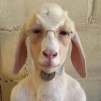 Lewis (@lewisson__) 's Twitter Profile