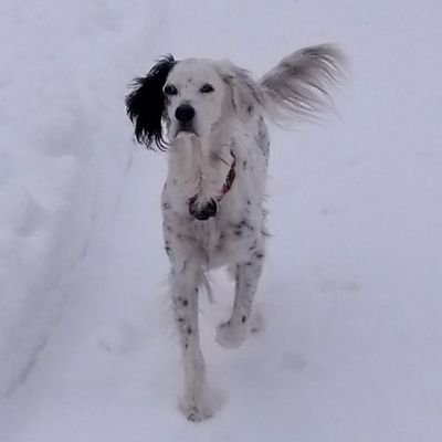 david_greth's profile picture. 