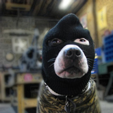 colochimba's profile picture. 