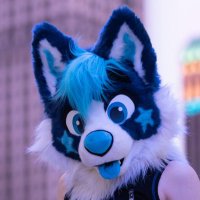 Nova ๐ฉต ๐ FWA (@knotknova) 's Twitter Profile