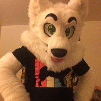 Cyberfluff2069 (@spicysamoyed) 's Twitter Profile