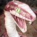The Alien from Alien:Romulus (@il82635185) Twitter profile photo The Alien from Alien:Romulus (@il82635185) Twitter profile photo
