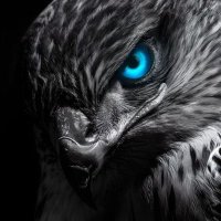 أموَاج الفَضَاء¹⁹⁰⁰ فارس (@ddrrem71360) 's Twitter Profile