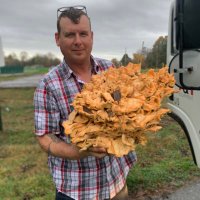 Chris Pribisco🇺🇸🐂💨 (@pribiscochris) 's Twitter Profile