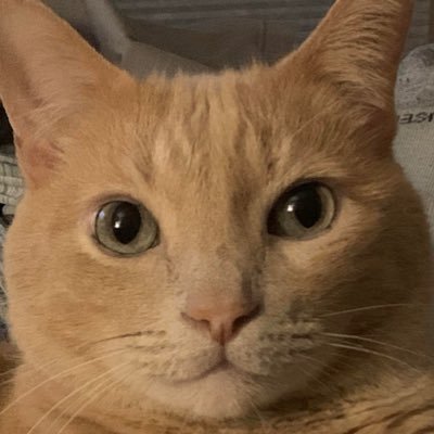 Crypto enthusiast, https://t.co/49o9GVdKIJ community member and telegram moderator for the worlds first community financial collective