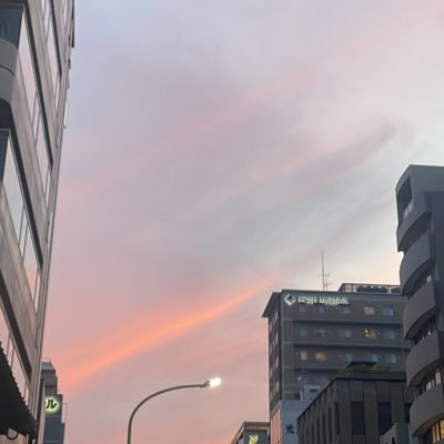 pompom_poomaru's profile picture. 