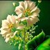 Ananda (@sudhirjain1763) Twitter profile photo Ananda (@sudhirjain1763) Twitter profile photo