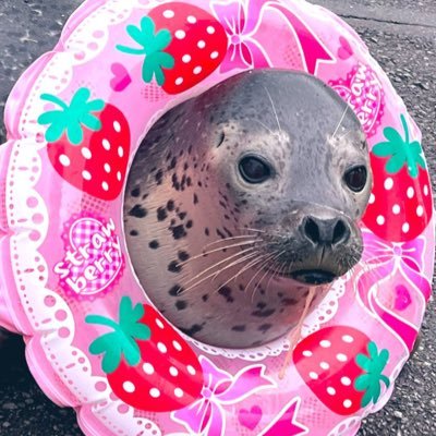 木彫りのアザラシ 木彫りのアザラシ
