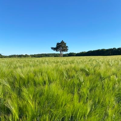 Nature • Surf • F1 • Original sound & visuals | Sharing beauty & calm after 26 months in Community Notes