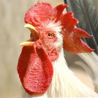3Xtt27E6cx43045's profile picture. ASD、ADHD、知的有りの息子の育児に奮闘中。感情は常にジェットコースター。
