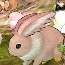 MqPQ1HI5kJjrkiU's profile picture. ゲーム　メギド72・aknk他・キャラストお休み❀無言フォロー失礼します