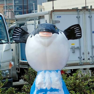 makomoo96's profile picture. 