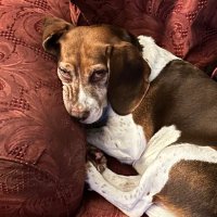 Mr.StickyThing (@mrstickything) 's Twitter Profile
