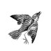 equal creatures (@equal_creatures) Twitter profile photo equal creatures (@equal_creatures) Twitter profile photo
