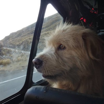 PatrickPhang1's profile picture. Perukistán 🇵🇪
Lëtzebuerg 🇱🇺
@UMich '26 🎓〽️
Vfl Wolfsburg ⚽💚
R Walferdange ⚽💙
Andean (Pre)History ⛰
Runasimita Yachashani 🗣
Anthropology & Archaeology ⛏️