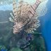 🐟🐟🐟🐟 (@nunununugatt) Twitter profile photo 🐟🐟🐟🐟 (@nunununugatt) Twitter profile photo