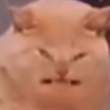 snipsonvhs's profile picture. 30, cryptid // she/her/it/its // get outta here