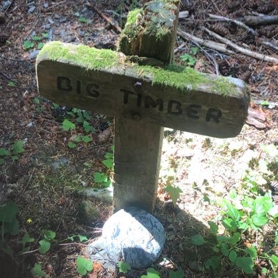 ThagoPythag's profile picture. 