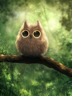 Shouette1さんのプロフィール画像