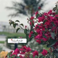 A (@iiwte1) 's Twitter Profile