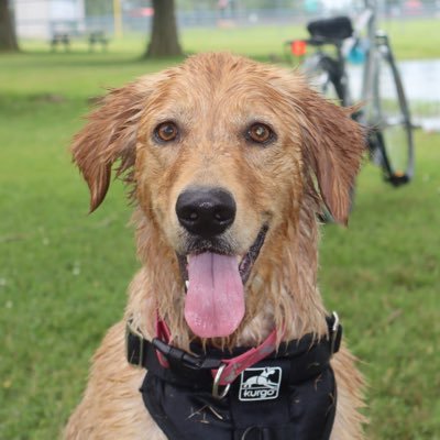 PatrickMurphyIL's profile picture. Suzie Fan Account