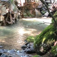 もとおか あきら (@akira_reishi) Twitter profile photo