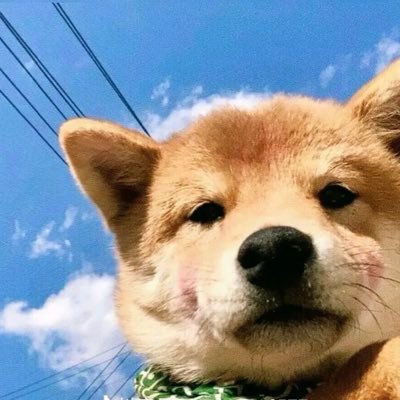 zyhyyds5271314's profile picture. 