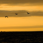 jedrtd's profile picture. 