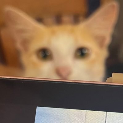 chickenugeggsさんのプロフィール画像