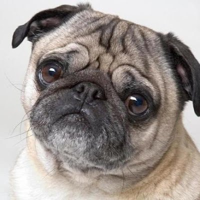 Y1B1S's profile picture. 