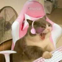 eche 【=◈︿◈=】 (@perlevon) 's Twitter Profile