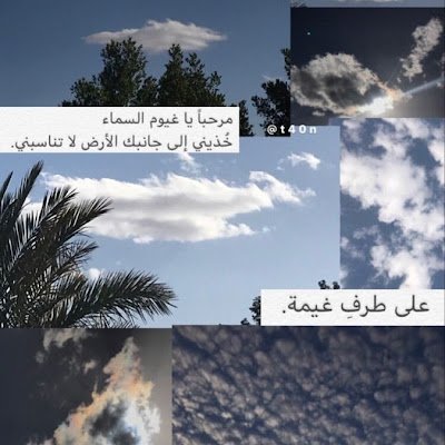 ryf155a076's profile picture.