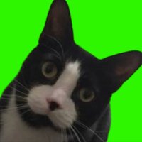 0xPonzi (@0xponzito) 's Twitter Profile Photo 0xPonzi (@0xponzito) 's Twitter Profile Photo